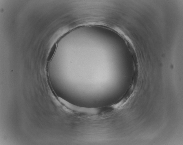 X0000070411189200606231820