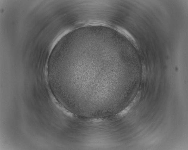 X0000070411190200606231820