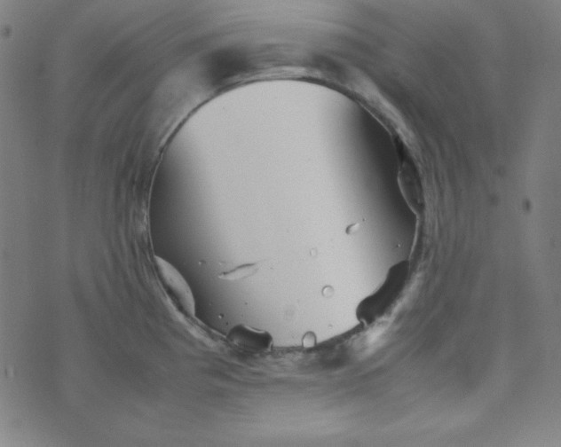 X0000070411193200606231820