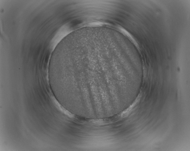 X0000070411194200606231820