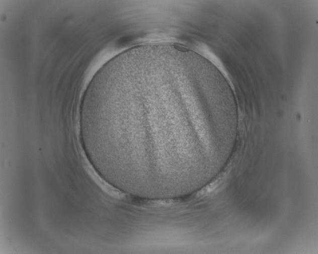 X0000070411195200606231820