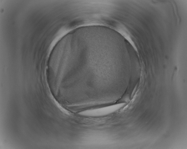 X0000070411197200606231820