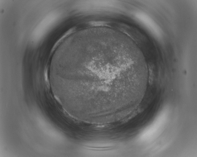 X0000070411198200606231820