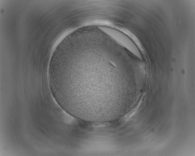 X0000070411199200606231820