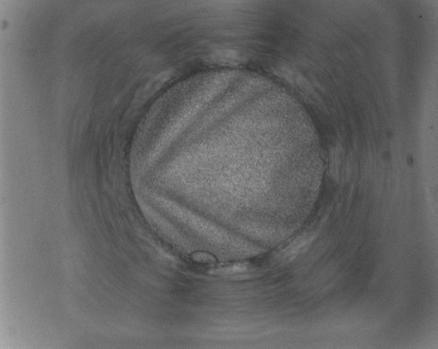 X0000070411201200606231819