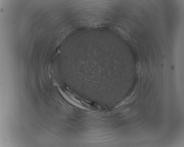 X0000070411202200606231819