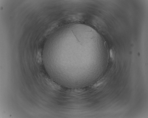 X0000070411203200606231819