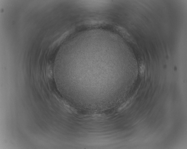 X0000070411204200606231819