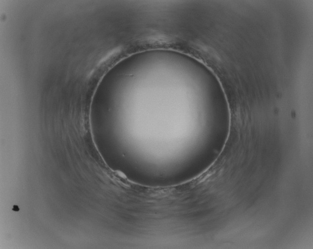 X0000070411205200606231819