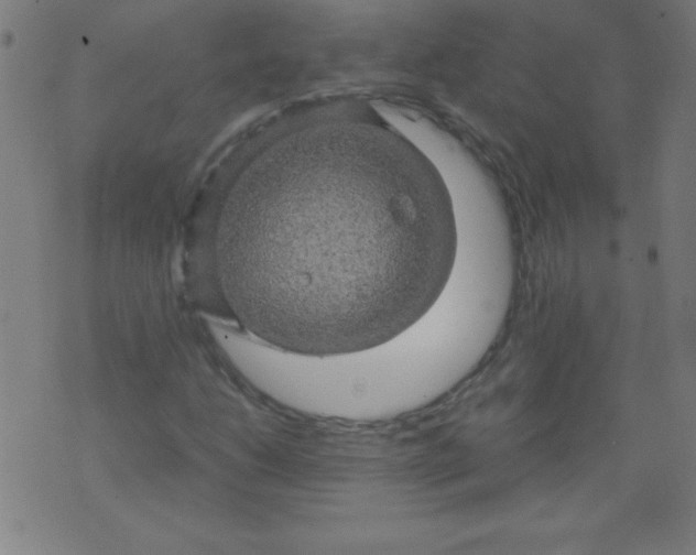 X0000070411206200606231819