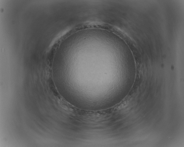 X0000070411207200606231819