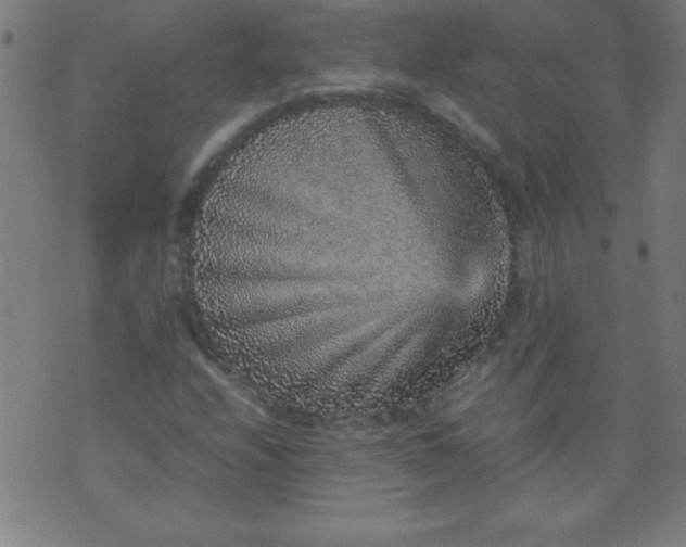 X0000070411208200606231819