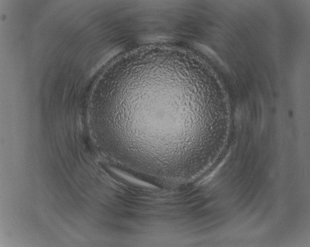 X0000070411209200606231819