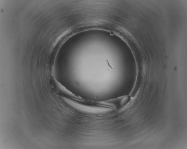 X0000070411210200606231819