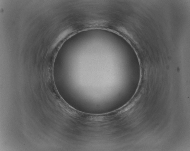 X0000070411211200606231819