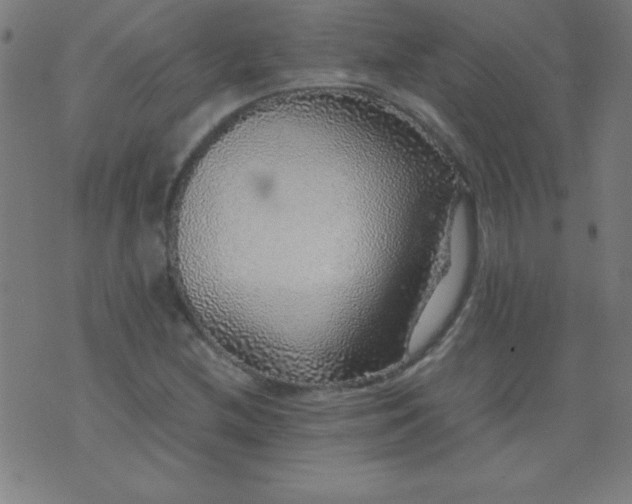 X0000070411212200606231819