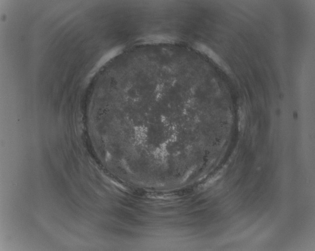 X0000070411213200606231819