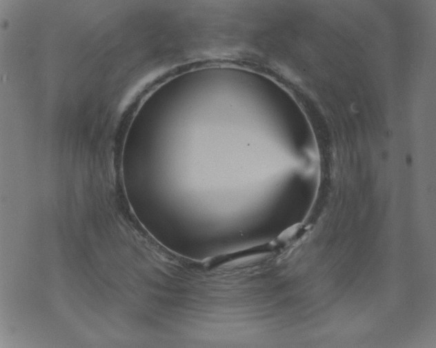 X0000070411214200606231820