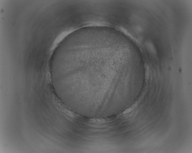 X0000070411215200606231820