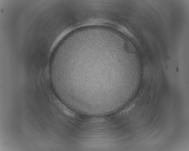 X0000070411216200606231820