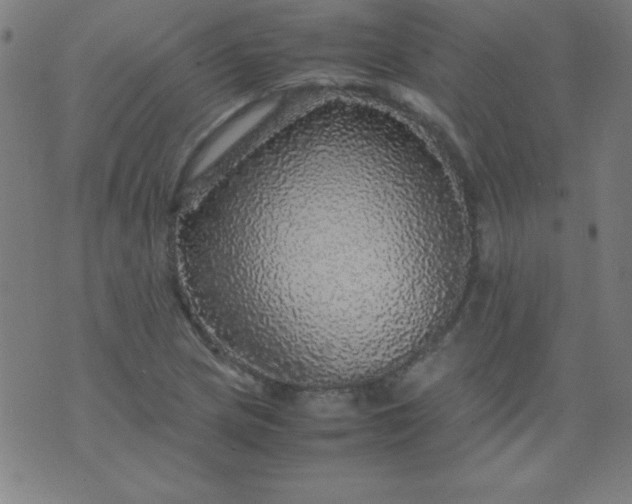 X0000070411217200606231820