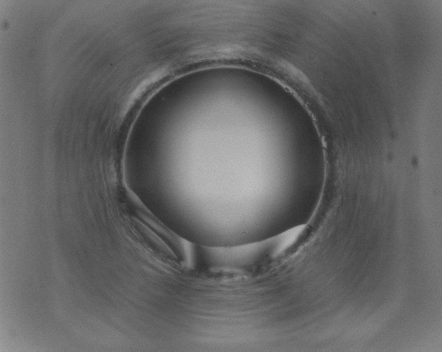 X0000070411218200606231820