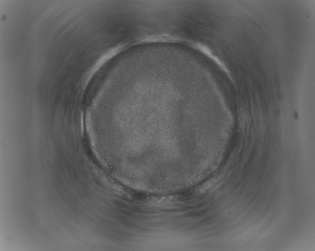 X0000070411221200606231820