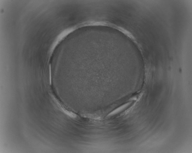 X0000070411223200606231820