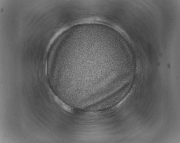 X0000070411224200606231820