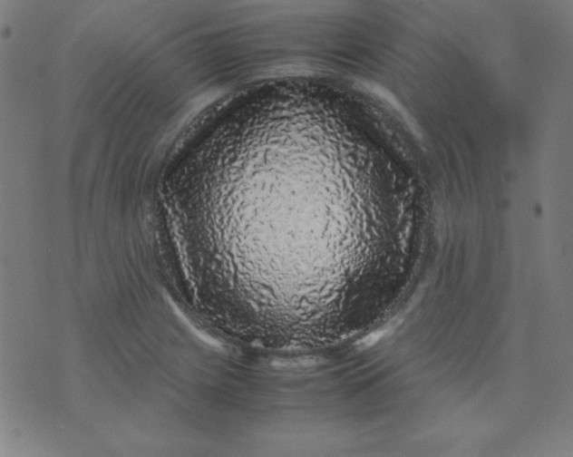 X0000070411225200606231820