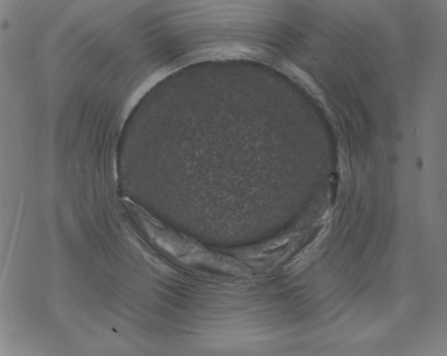 X0000070411226200606231820