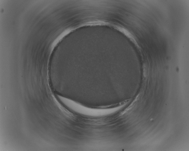 X0000070411229200606231820