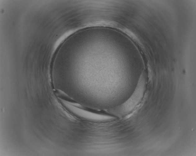 X0000070411230200606231820