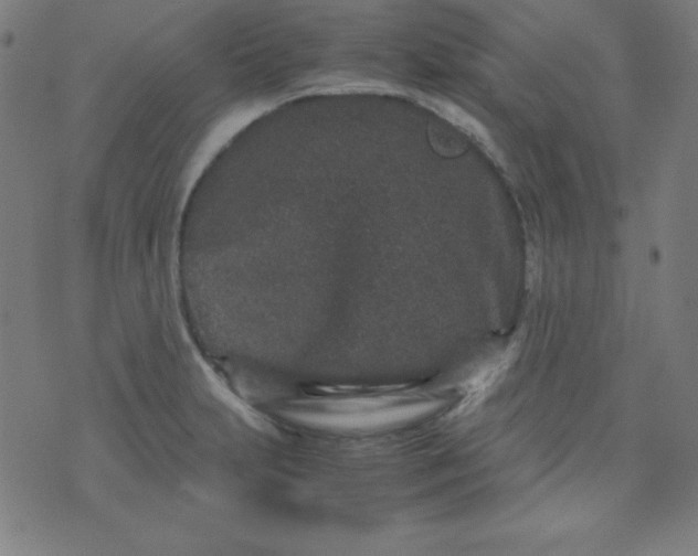 X0000070411231200606231820