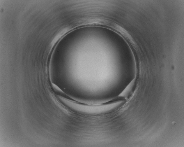 X0000070411234200606231820