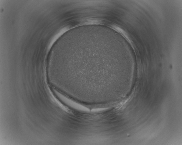 X0000070411235200606231820