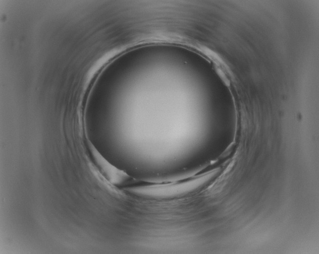 X0000070411238200606231820