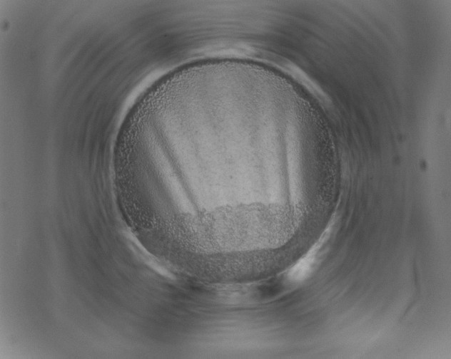 X0000070411240200606231820