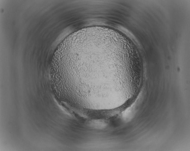 X0000070411241200606231820