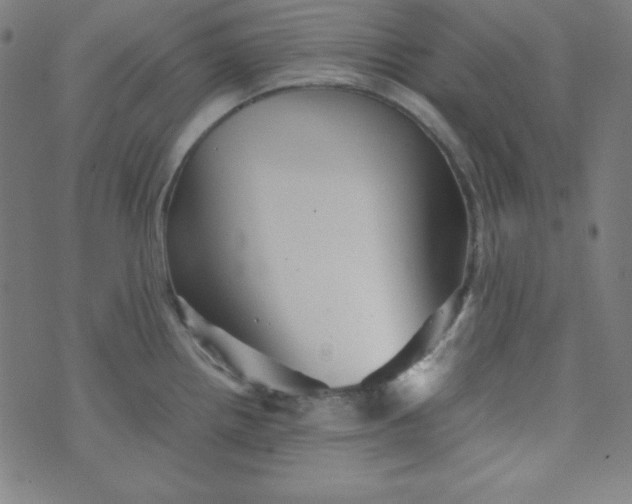 X0000070411242200606231820