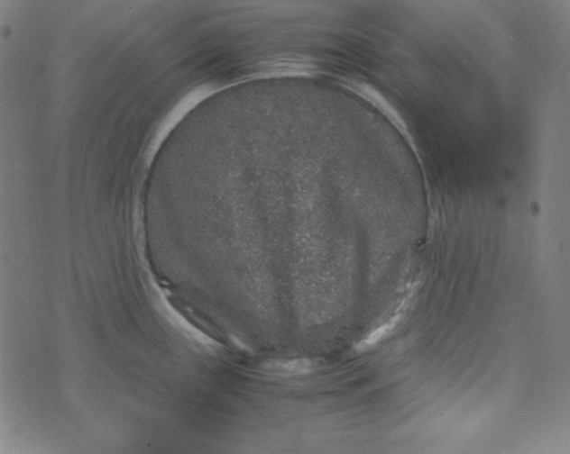 X0000070411243200606231820