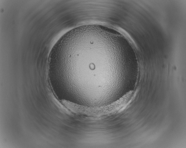 X0000070411244200606231820