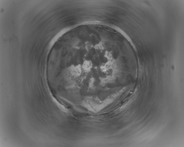 X0000070411245200606231820