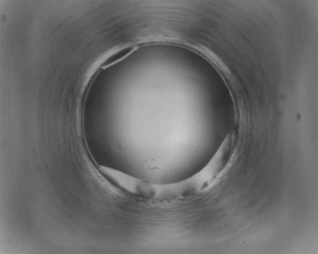 X0000070411246200606231820