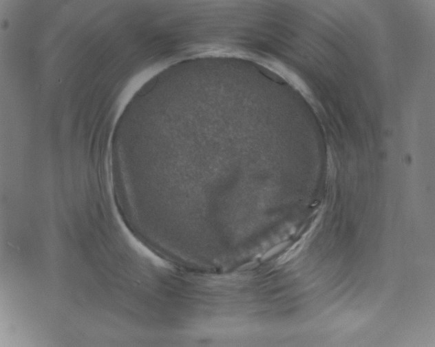 X0000070411247200606231820