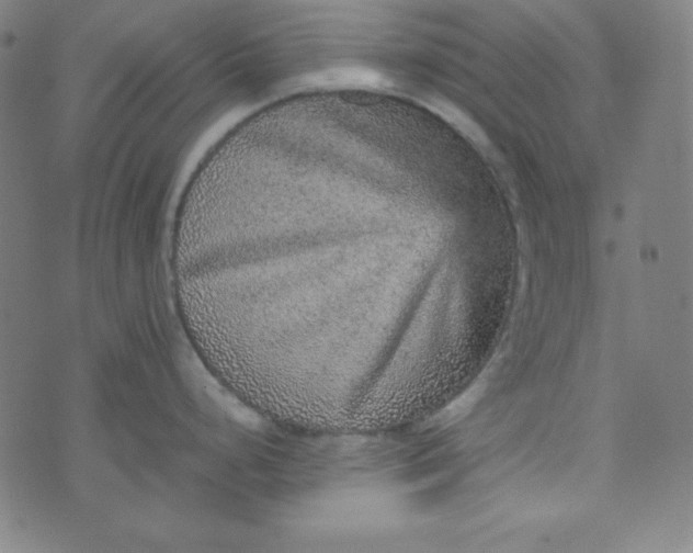 X0000070411248200606231820