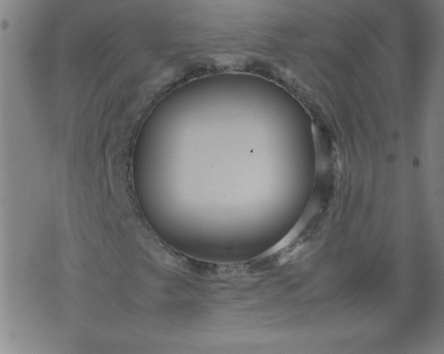 X0000070411249200606231819