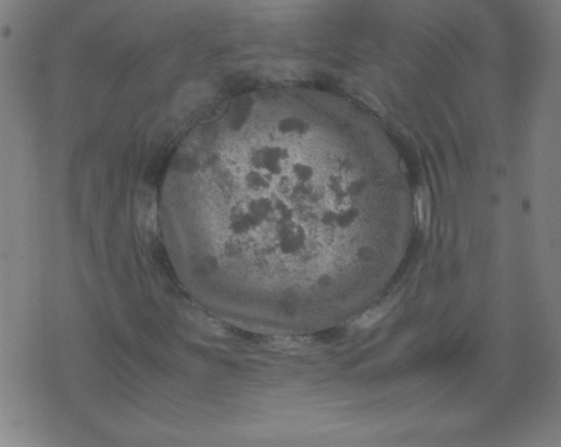 X0000070411251200606231819