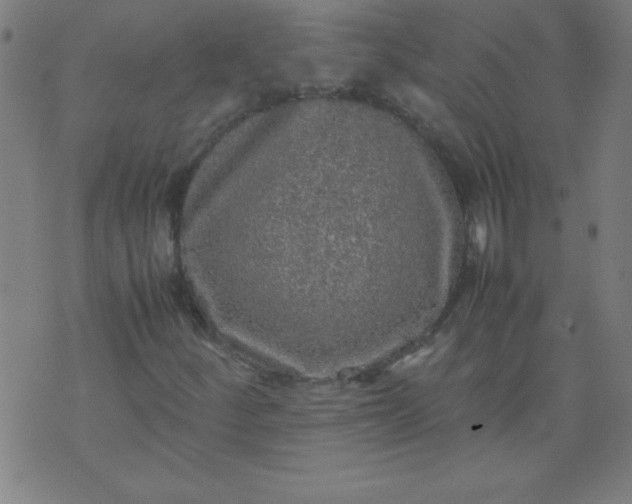 X0000070411252200606231819