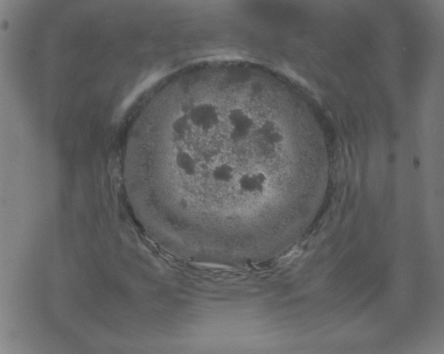 X0000070411255200606231819